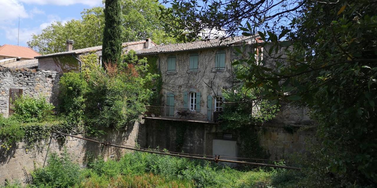 Bed and Breakfast Le Mimosa à Saint-Saturnin-de-Lucian Extérieur photo
