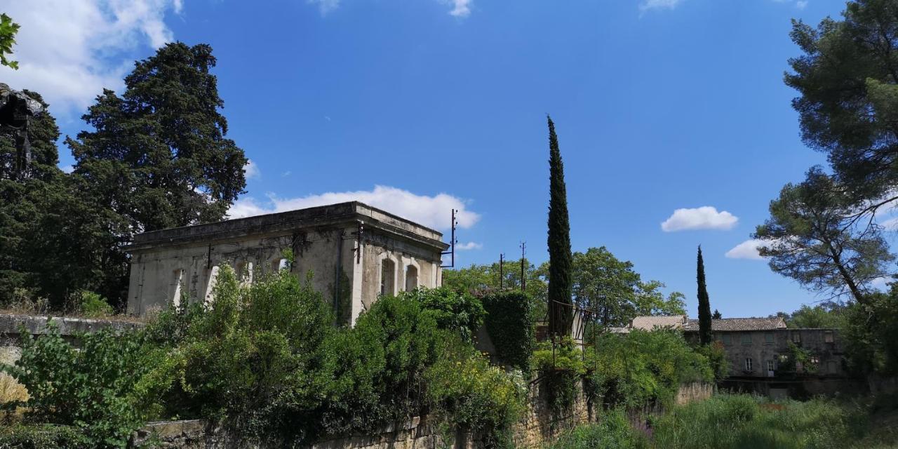 Bed and Breakfast Le Mimosa à Saint-Saturnin-de-Lucian Extérieur photo