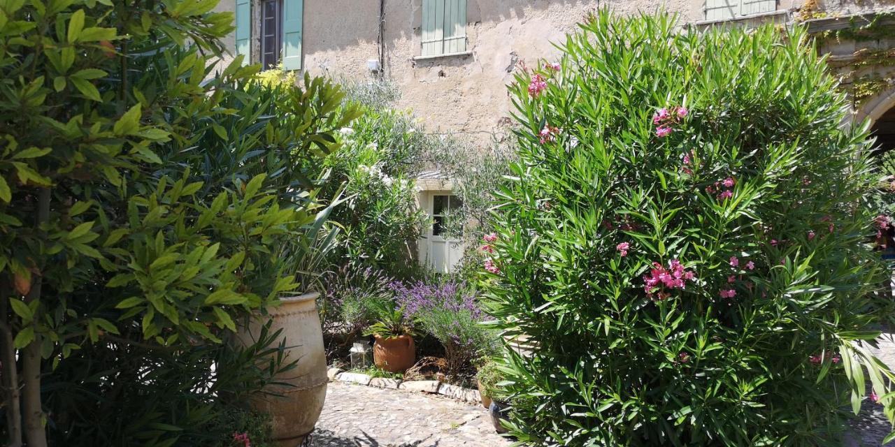 Bed and Breakfast Le Mimosa à Saint-Saturnin-de-Lucian Extérieur photo